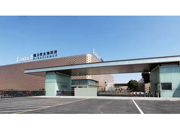 EPDM運動場地